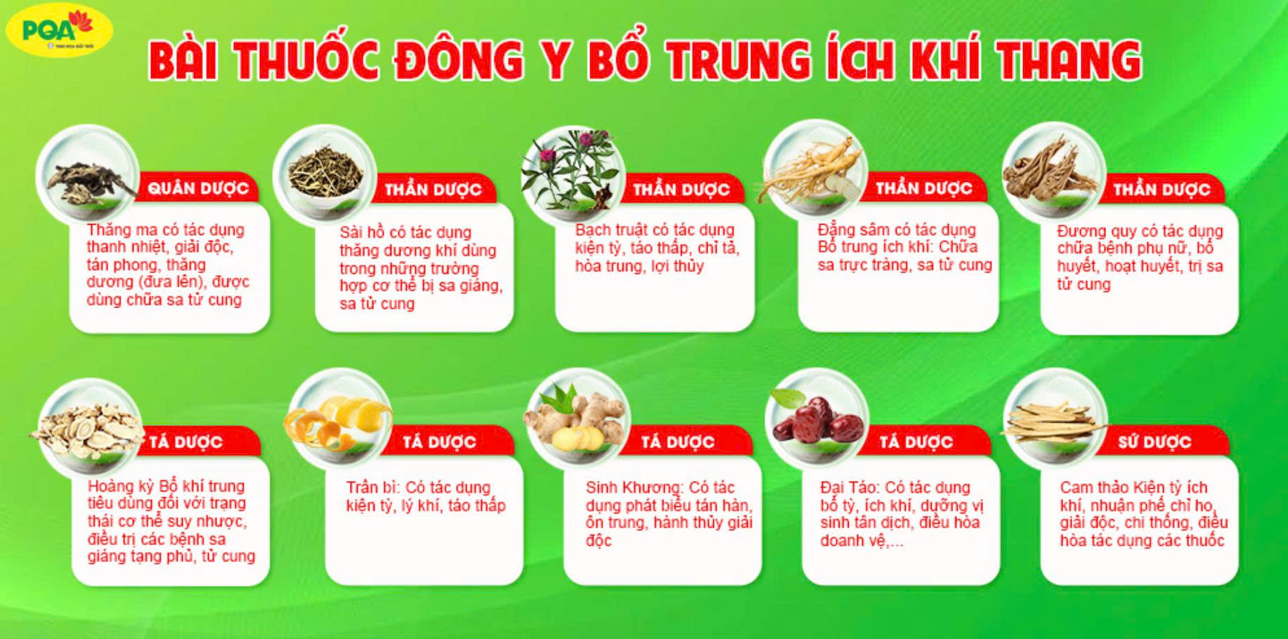 Bổ trung ích khí thang - Bài thuốc Đông y hỗ trợ phục hồi Sa tử cung hiệu quả.