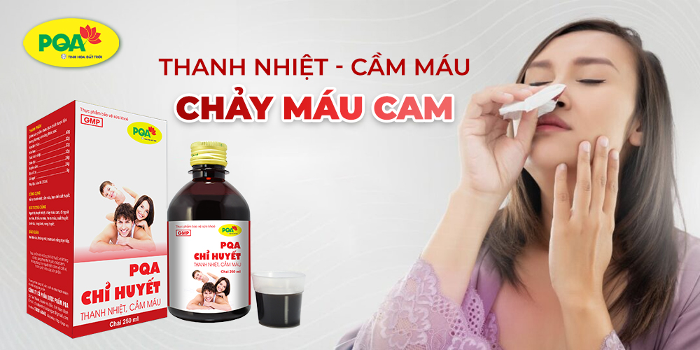 PQA Chỉ Huyết có tốt không? Giá bao nhiêu? Mua ở đâu?