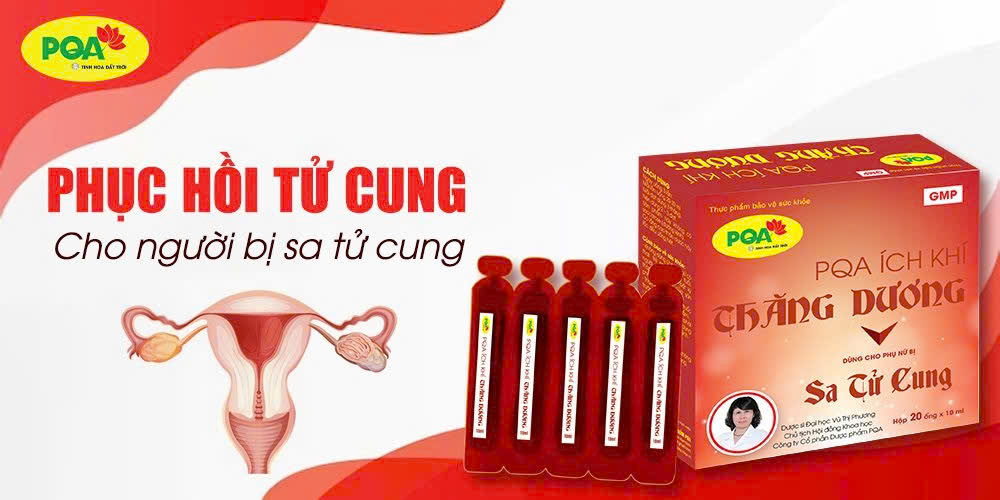 Ích Khí Thăng Dương PQA có tốt không? Giá bao nhiêu? Mua ở đâu?