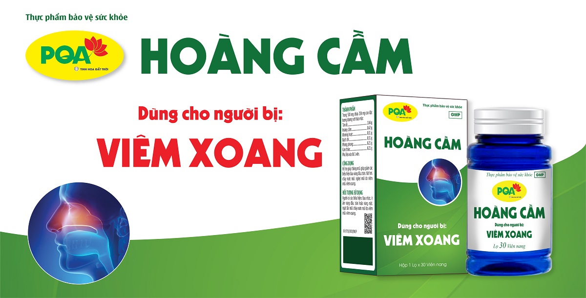 pqa hoàng cầm hỗ trợ điều trị viêm xoang
