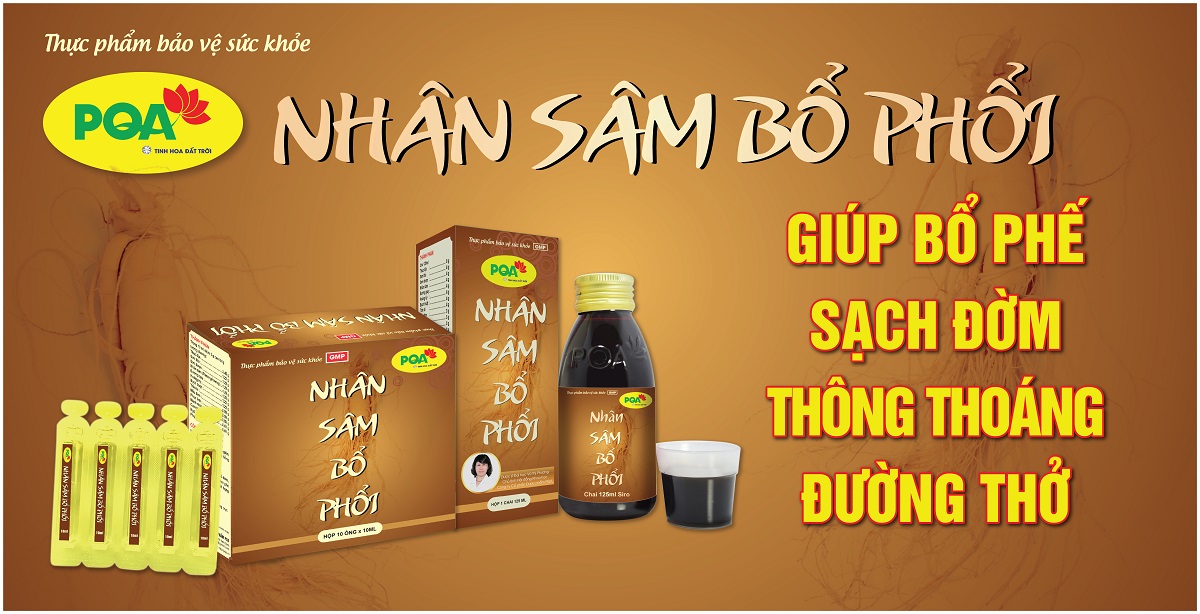 pqa nhân sâm bổ phổi