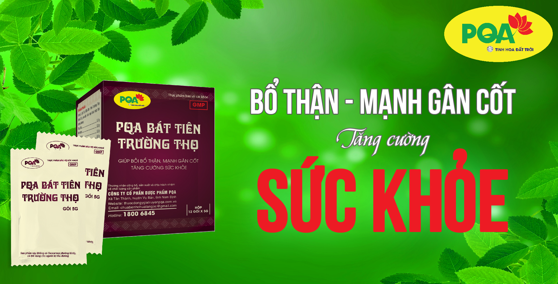 bát tiên trường thọ pqa